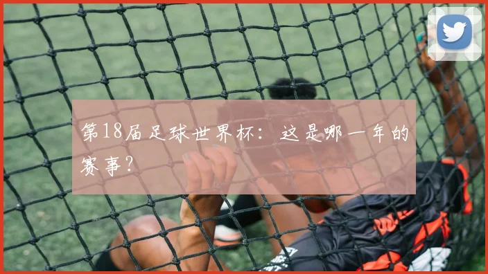 第18届足球世界杯：这是哪一年的赛事？