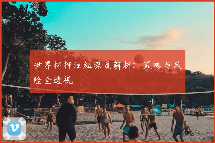 世界杯押注组深度解析：策略与风险全透视